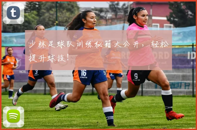 少林足球队训练秘籍大公开，轻松提升球技！