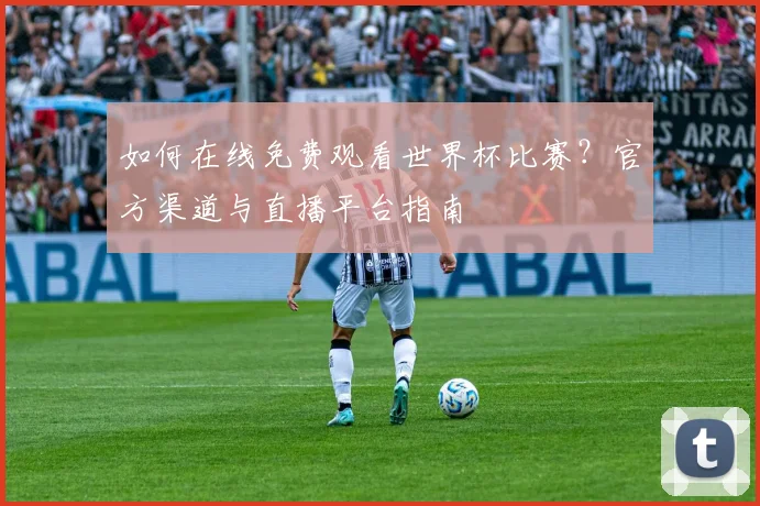 如何在线免费观看世界杯比赛？官方渠道与直播平台指南
